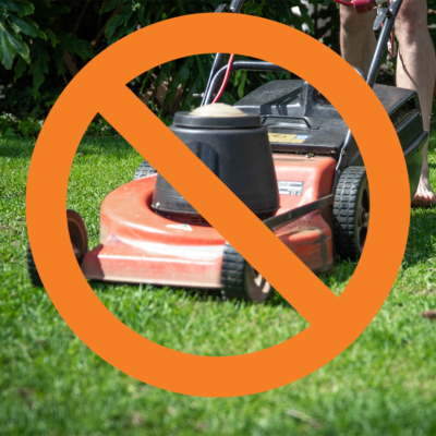 California Bans Sale of Gas-Powered Lawn Mowers Starting 2024